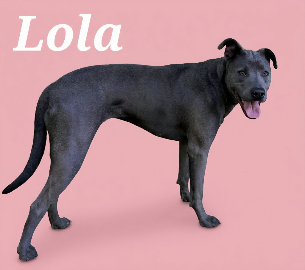 Lola (Tiana), photo 3