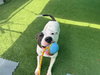 Pinky (Courtesy Post) - Photo 4