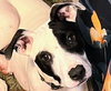 Spot - Photo 3