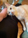 Clyde (Courtesy Post) - Photo 2
