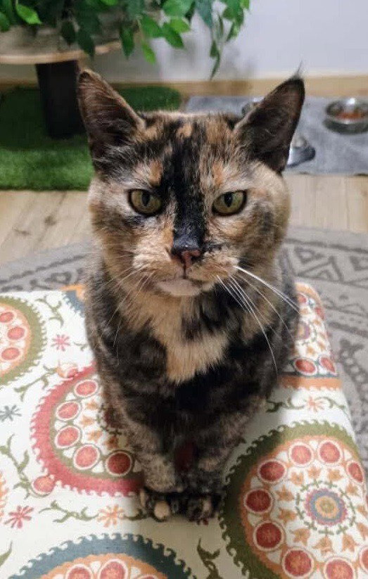 Kiki