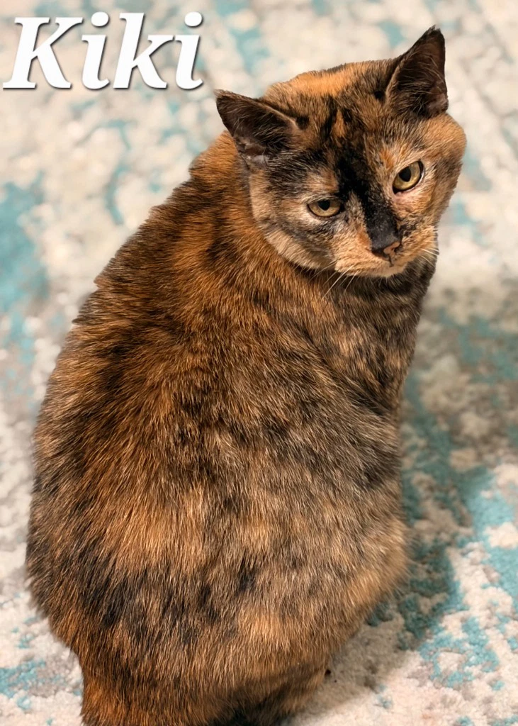 Kiki