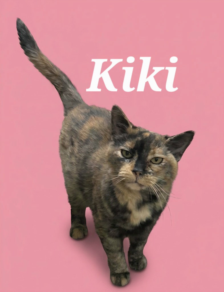 Kiki, photo 2