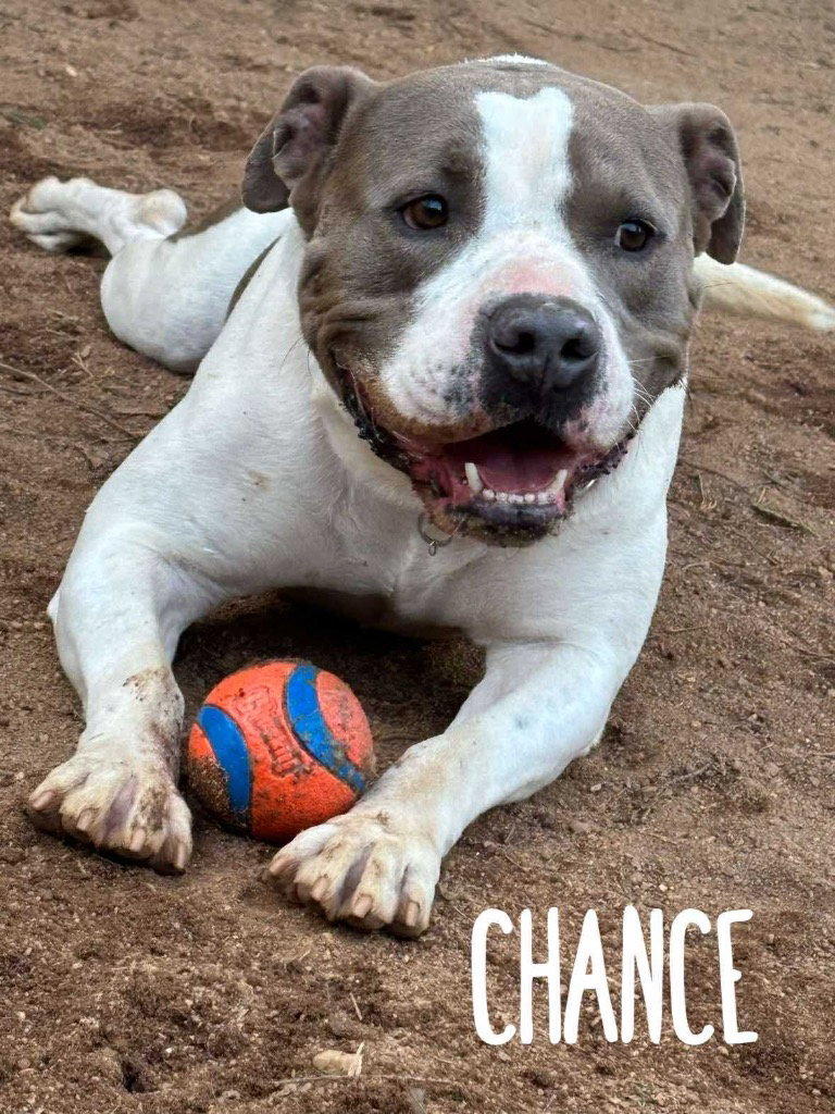 Chance