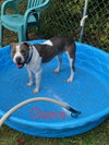 Chance - Photo 4