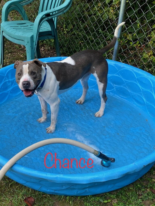 Chance