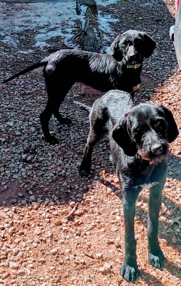 Luna & Yin Yang (Courtesy Post)