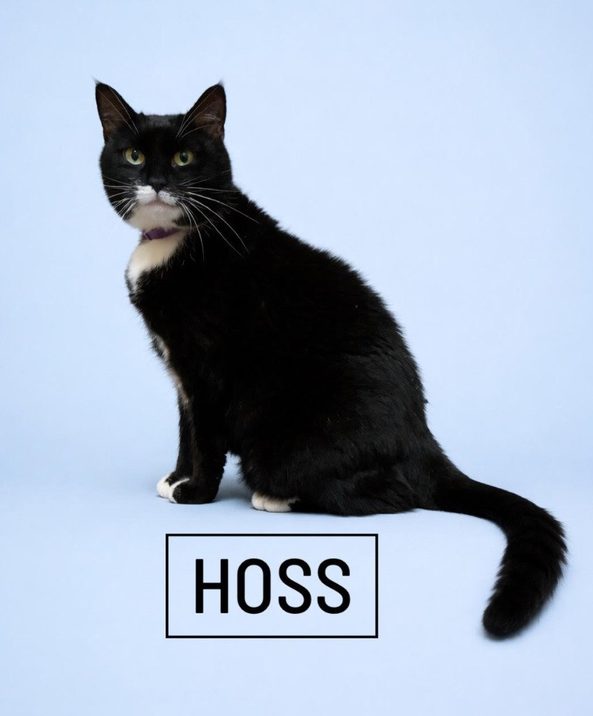 Hoss Image