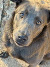 Nora (Courtesy Post) - Photo 1