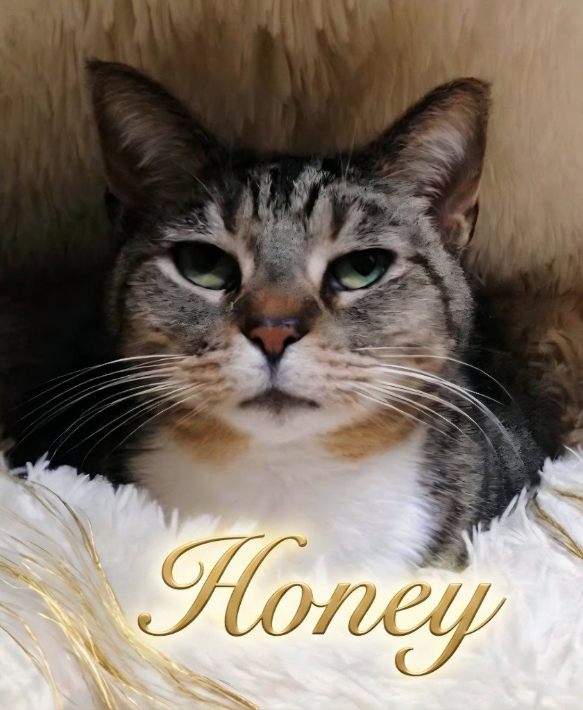 Honey