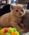 Fred - Photo 1