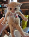 Fred - Photo 2