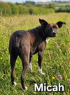 Micah - Photo 2