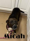 Micah - Photo 3