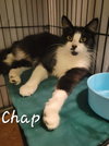 Chap - Photo 1