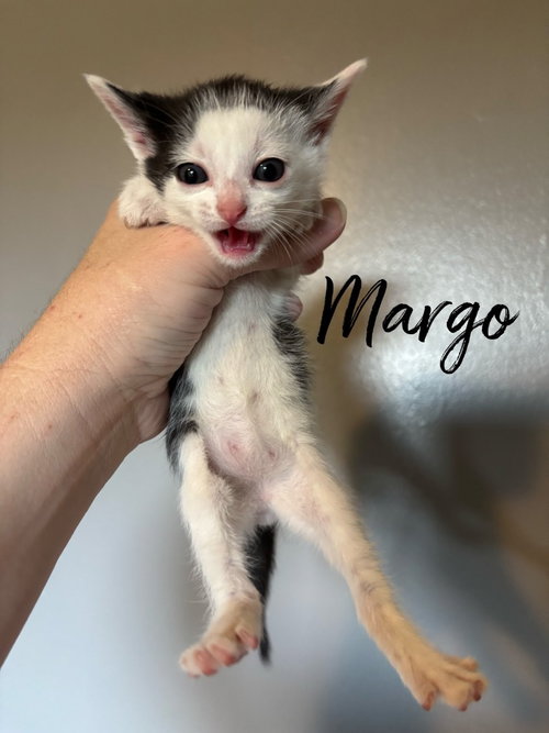 Margo