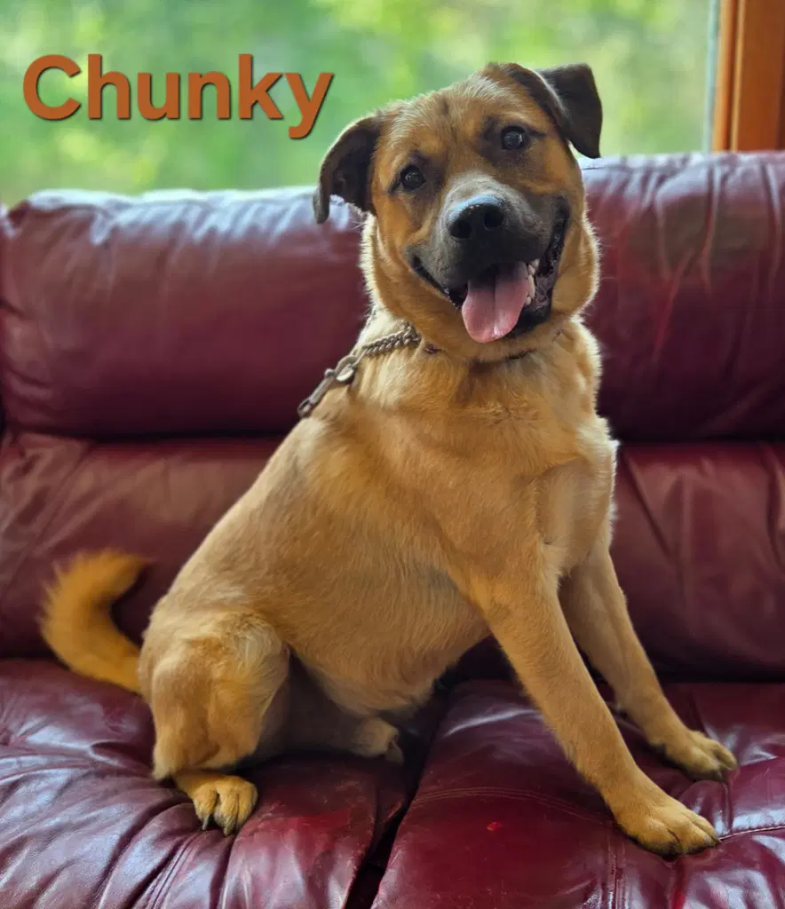 Chunky image 2
