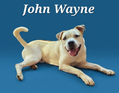 Photo 3 of John Wayne