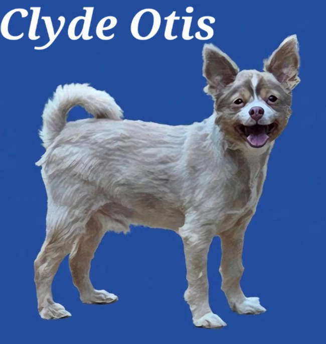 Clyde