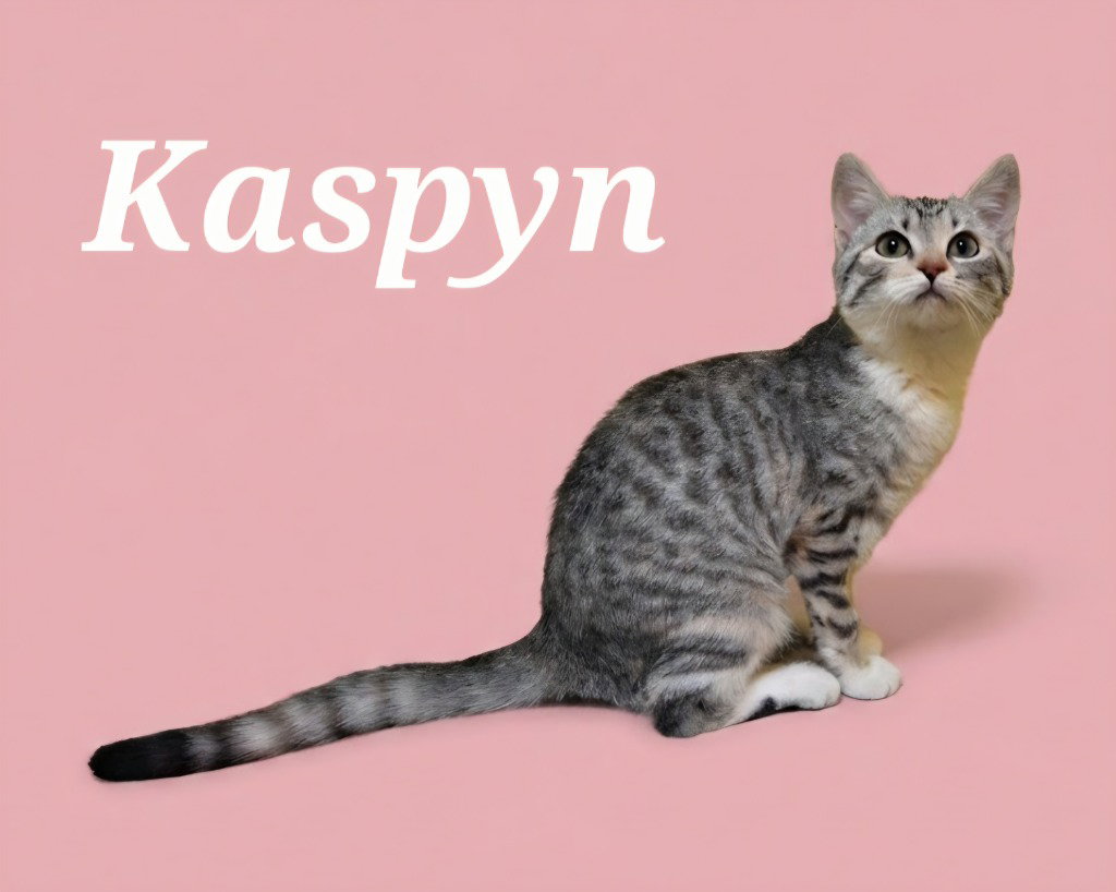 Kaspyn