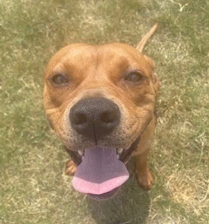 Mack Courtesy Post