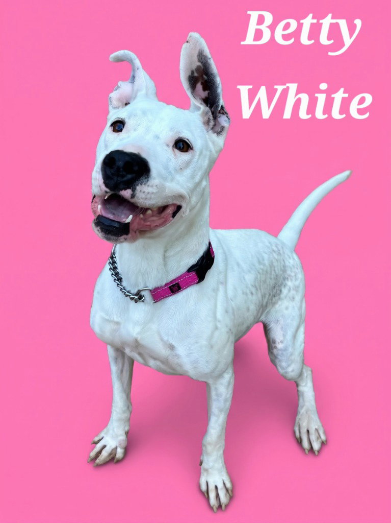 Betty White