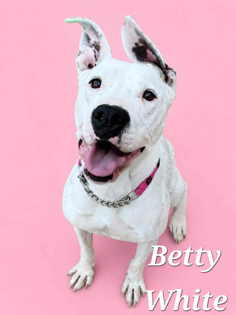 Betty White, photo 2