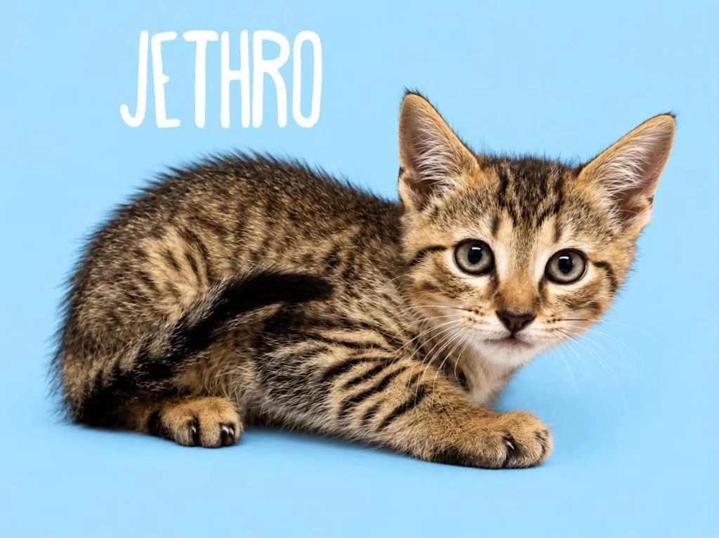 Jethro