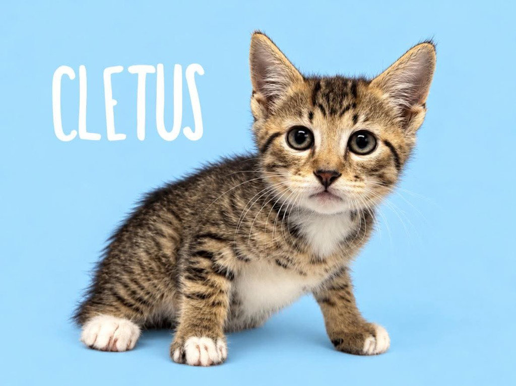 Cletus