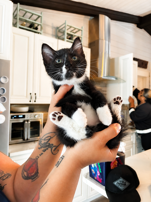 Tux
