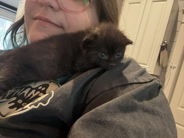 Blackie