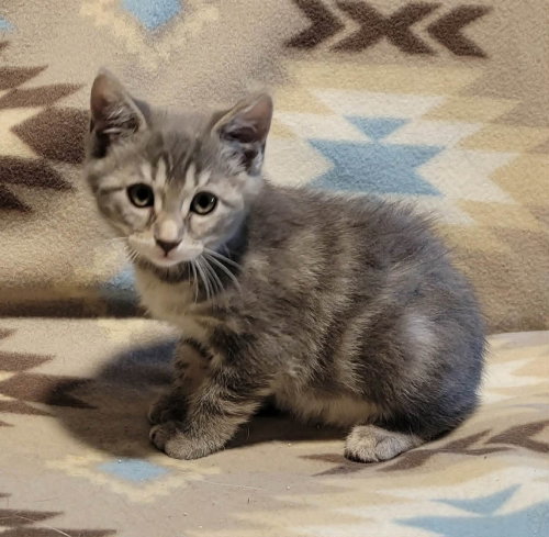 Ori