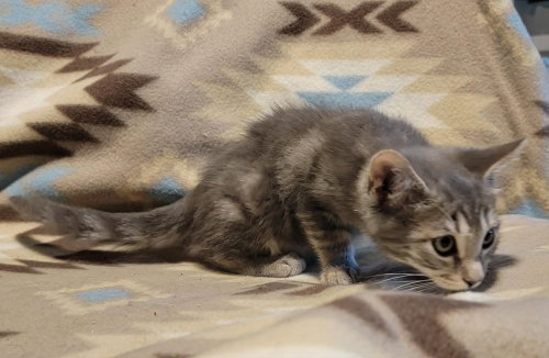 Ori photo 2
