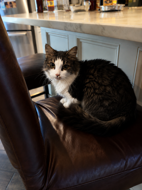 Bartholomew photo 2