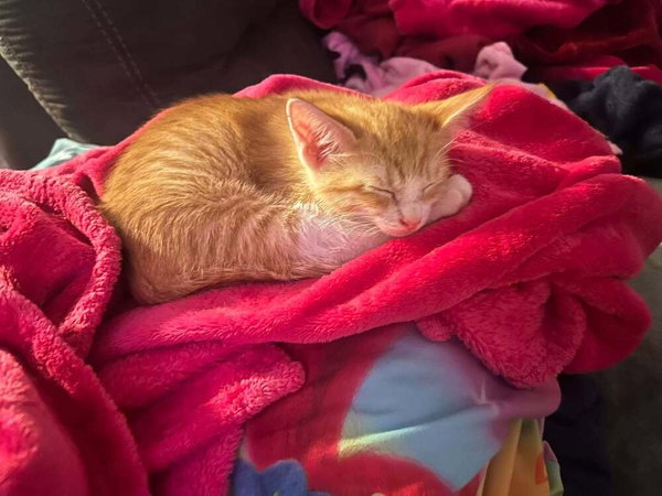 Tigger