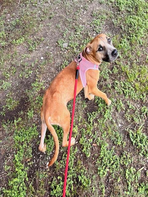 PERDITA