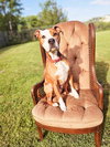 Ceasar - Photo 2