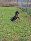 Blakely - Photo 4