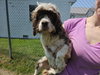 Grannie - Photo 1