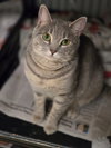 Pearla - Photo 1