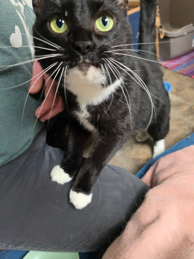 Remy Image
