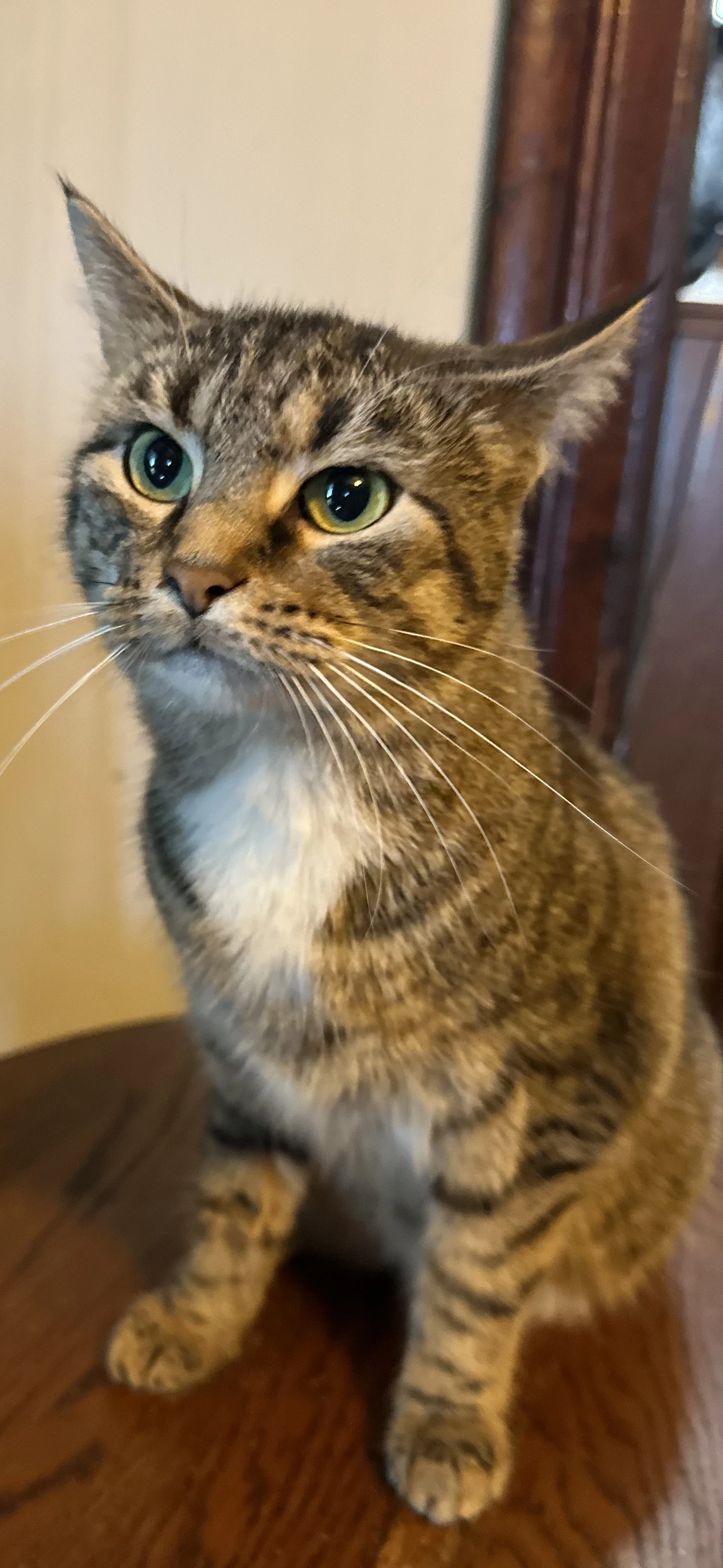Miriah