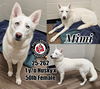 Mimi