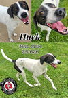 Huck