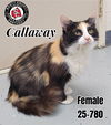 Callaway