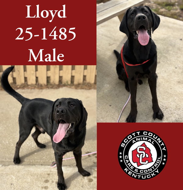 Lloyd