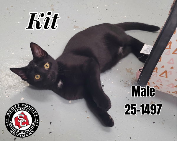Kit