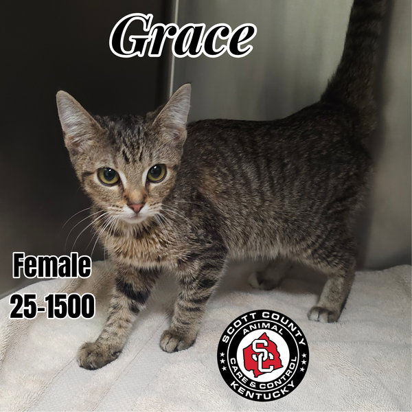 Grace