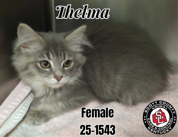 Thelma