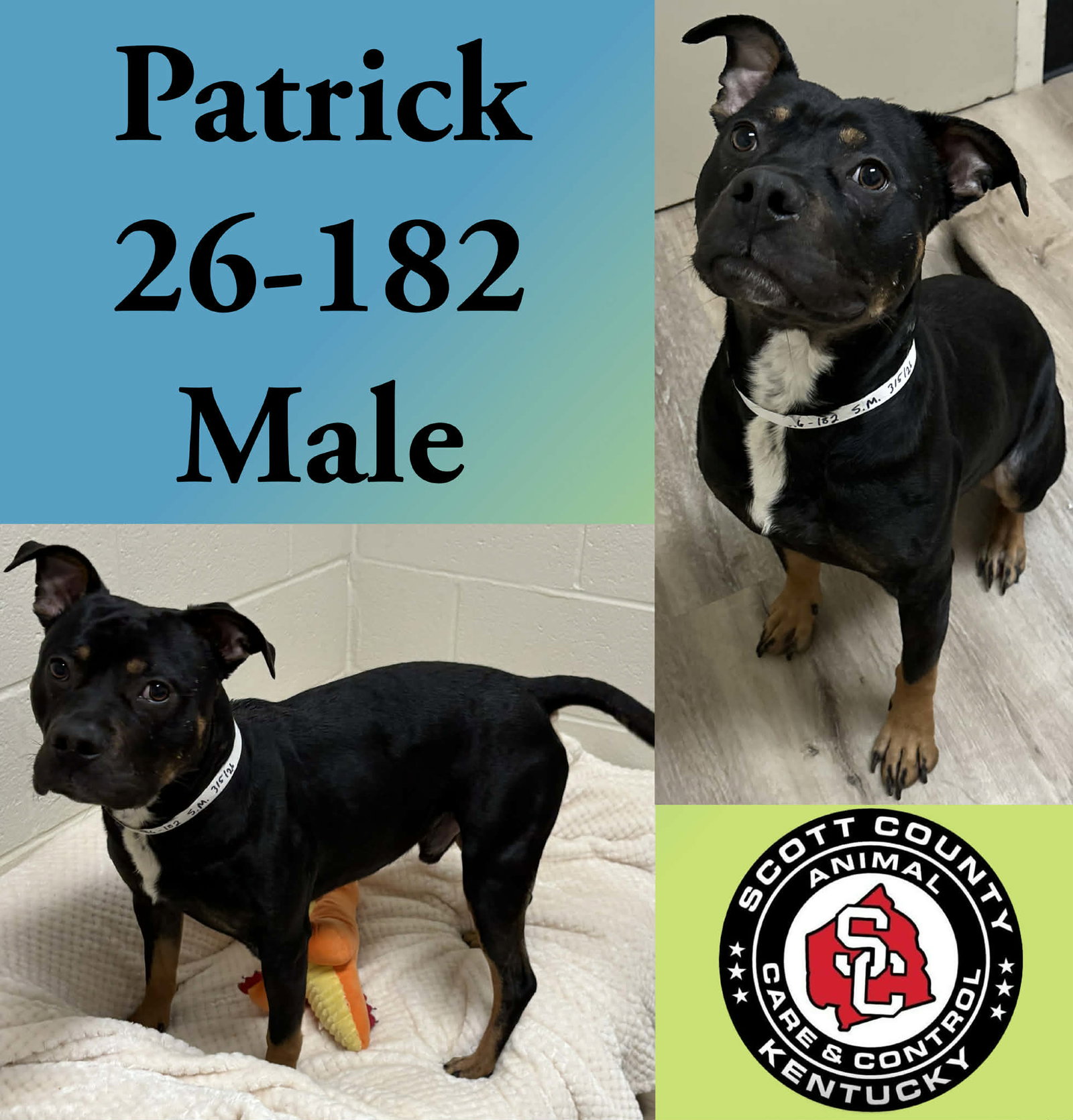 Patrick
